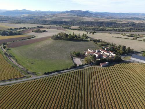 DJI_4169.JPG